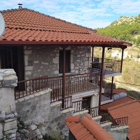 Family Home Dimitsana Exterior photo